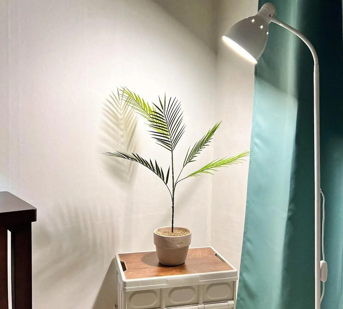 Apartment Fall In Hyehwa 3 Queen Beds Jongno Seoul